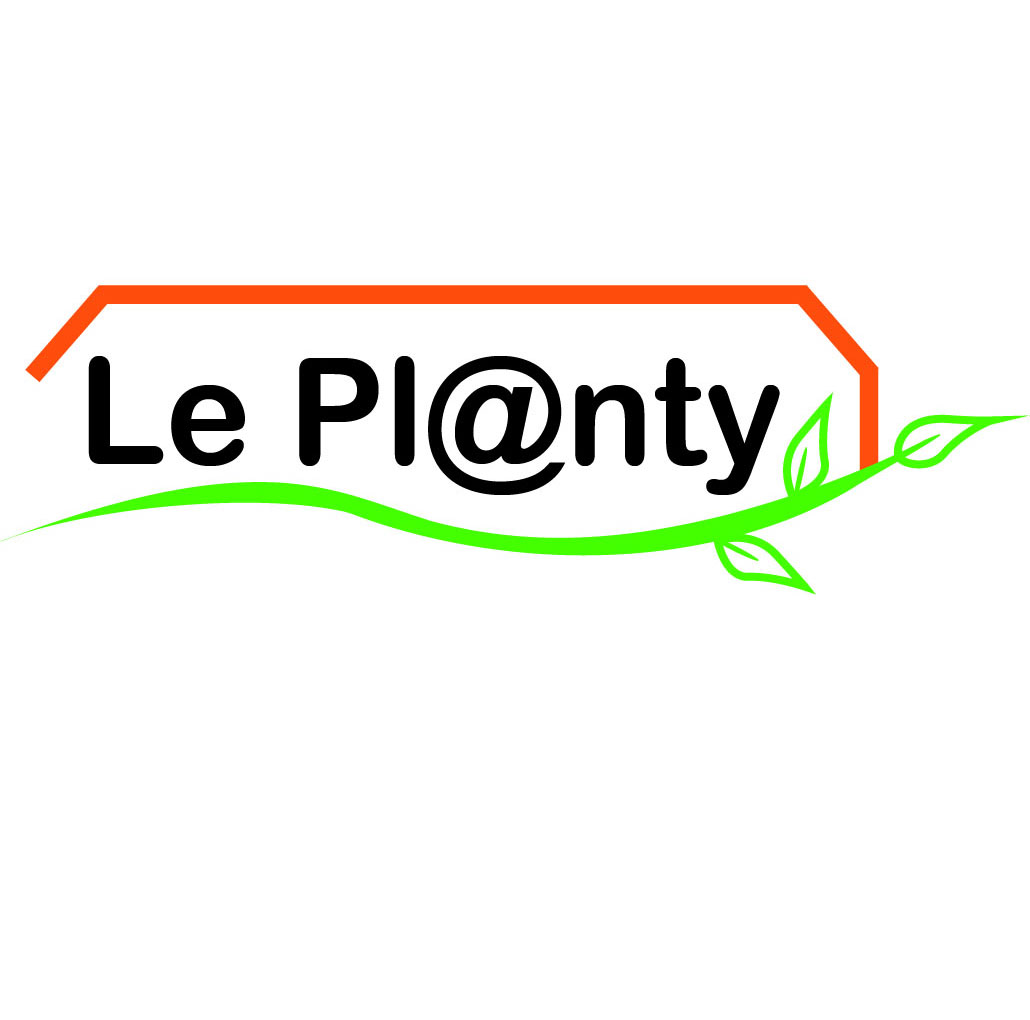 La tanaisie le 24 02 2023 Les plantes vagabondes, émission radio G Le Planty Ecuillé La tanaisie le 24 02 2023