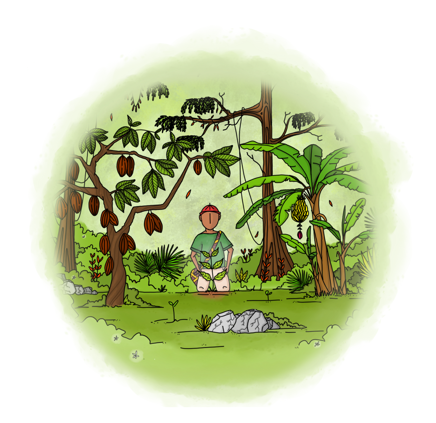 Café Tchololo Chico cafeto L'enfant caféier