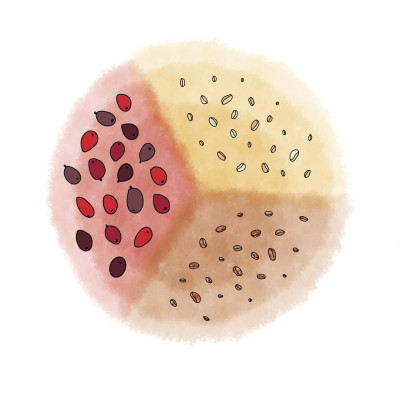 Café Tchololo Le traitement post-récolte