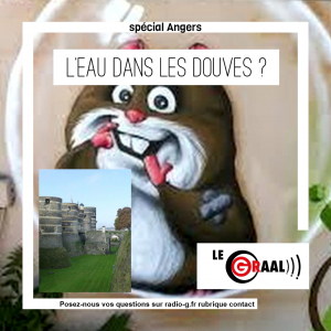 G Répond Aux Auditeurs Ligérien Graal - Pourquoi n'y a-t-il pas d'eau dans les douves du Château d’Angers ?