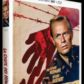 Sous les jupes des films06 09 2023